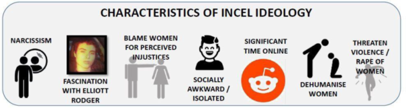 Extreme Ideologies Incels 1MG Wakefield Safeguarding Children